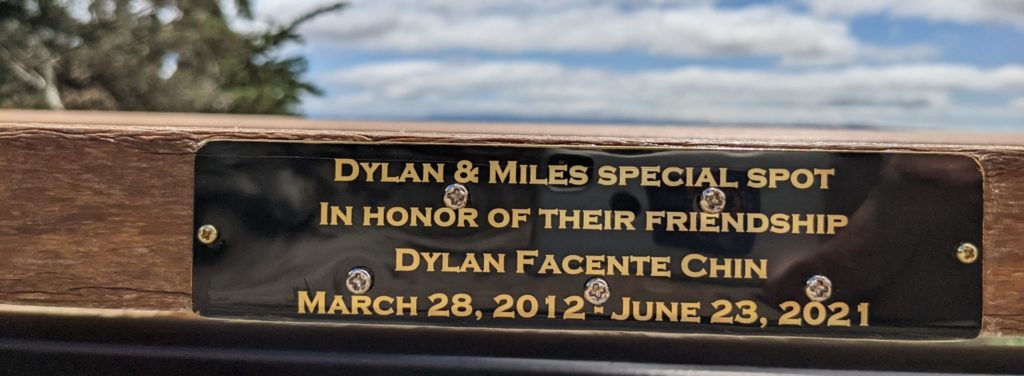 Dylan & Miles special spot in honor of their friendship, Dylan Facente Chin March 28, 2013 - June 23, 2021